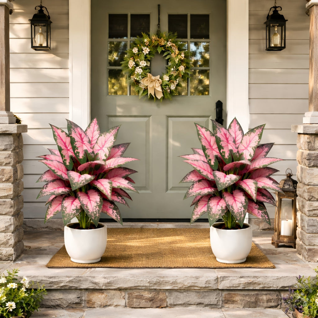 Artificial Pink Heartleaf Pothos Plant