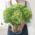 UV Resistant Hydrangea Stem for Indoor and Outdoor Decor