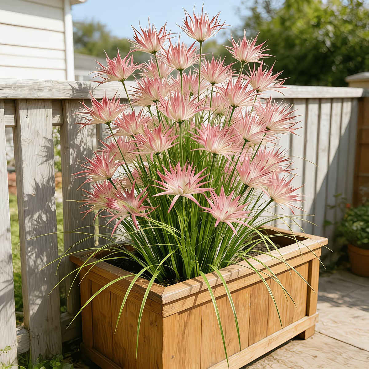 Sunny Bloom Faux Blush Meadow Grass - 5 Bundles